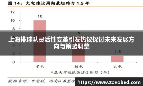 上海排球队灵活性变革引发热议探讨未来发展方向与策略调整